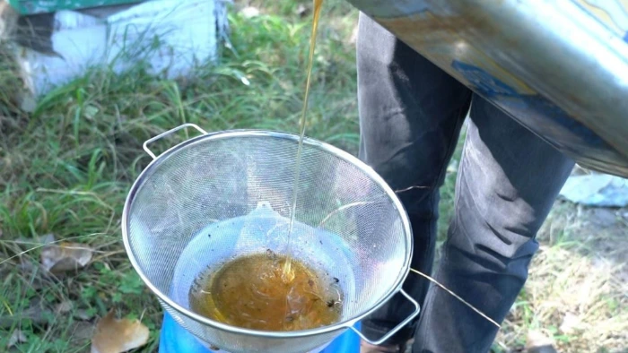 Raw honey being poured through a steel mesh sieve at the apiary, strained without heat