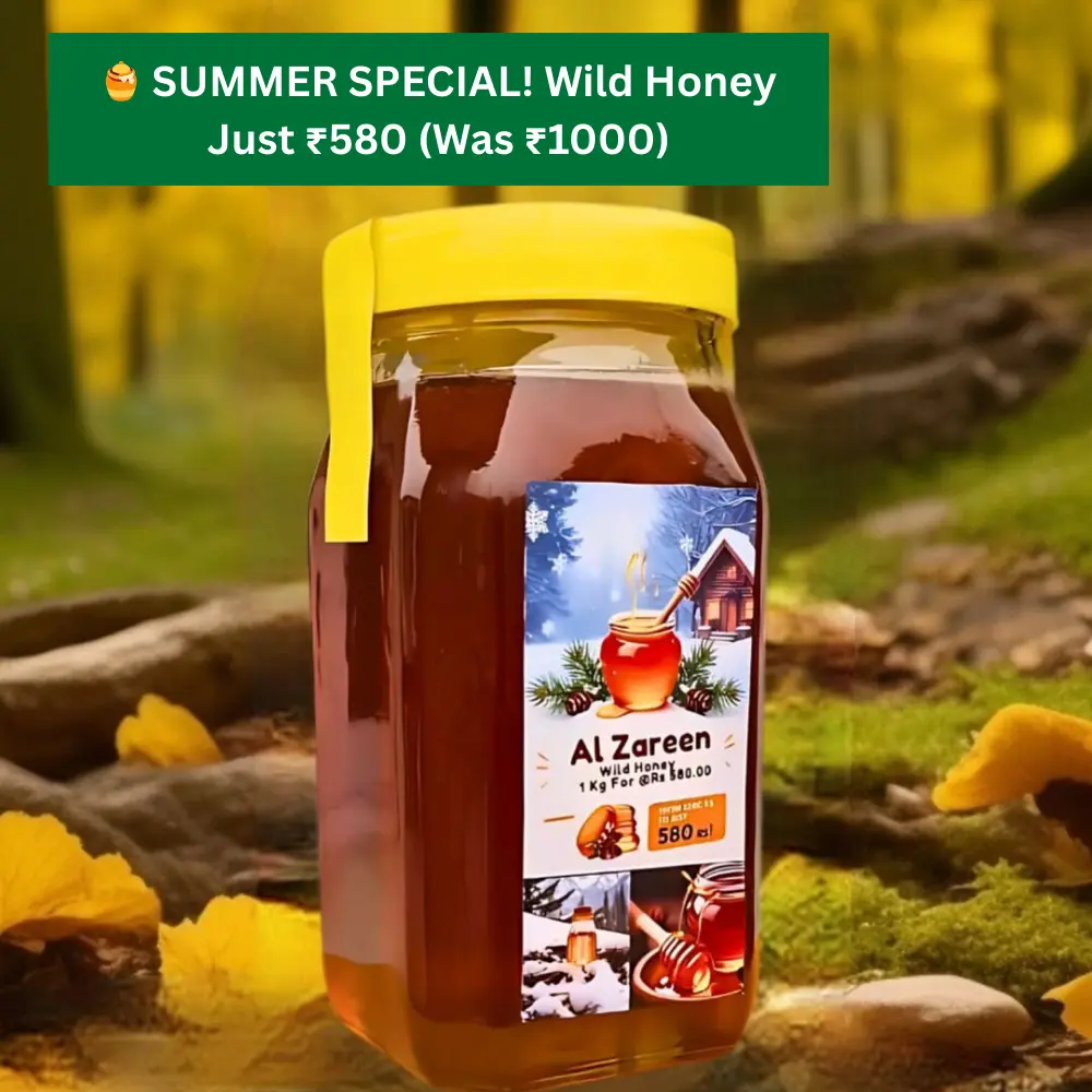 AMAZON 2025 (28).webp