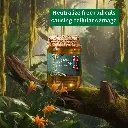 Rare-Kashmir-Wild-Acacia-Honey-Natural-Immunity-Booster.jpg.webp