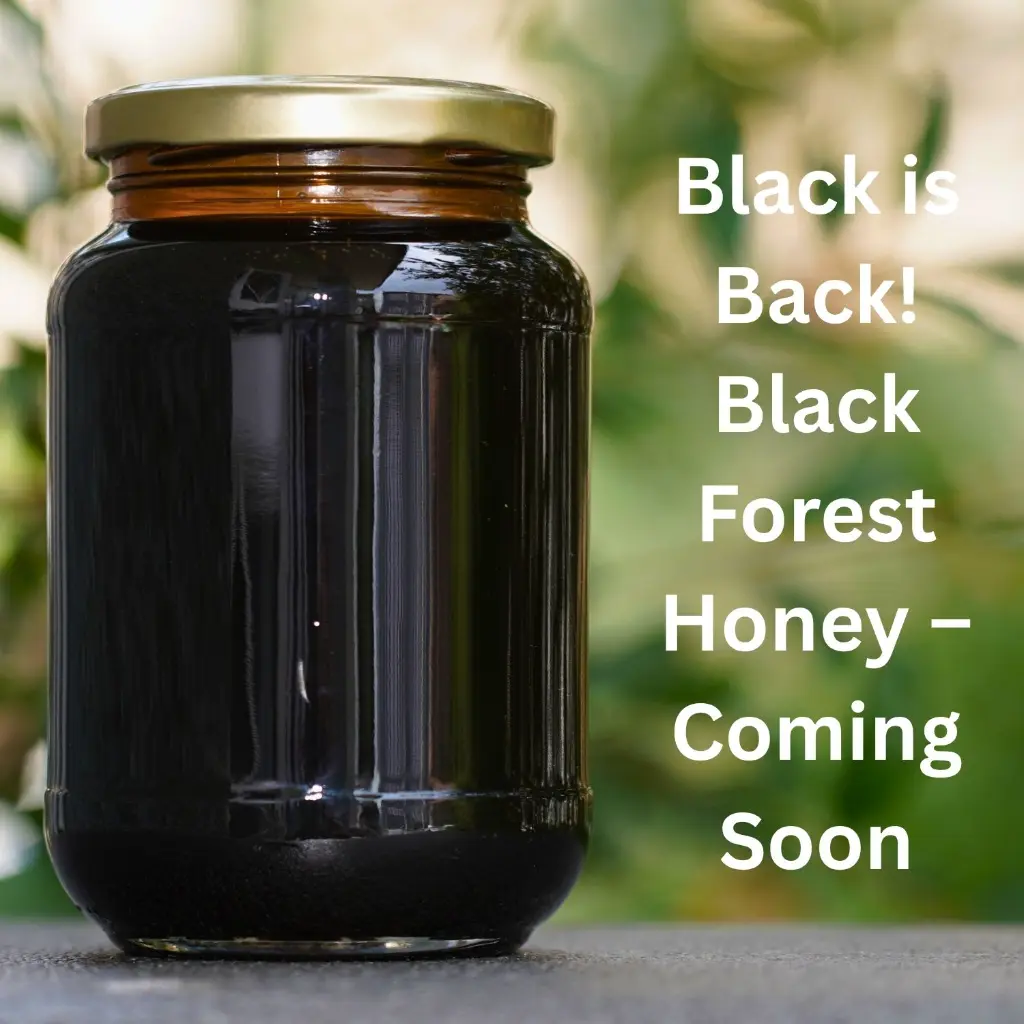 Pure_Raw_Black_Forest_Honey_Drop.jpeg.webp