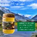 himalayan-immunity-booster-acacia-honey.jpeg.webp