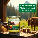grass-fed-desi-ghee-kashmir-purity.jpeg.webp