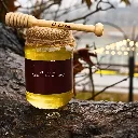 kashmir-acacia-honey-raw-lal-chowk-srinagar.webp.webp
