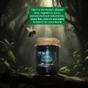 Black Forest Honey  | Premium Filtered Honey (Non-Kashmiri Origin) 50 % less Till Augest