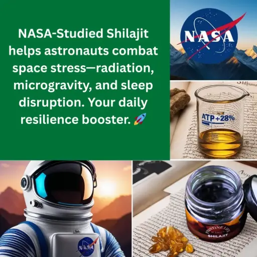 🌿 Pure Himalayan Shilajit Resin by Al Zareen – 